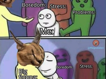 Большой Шлепа